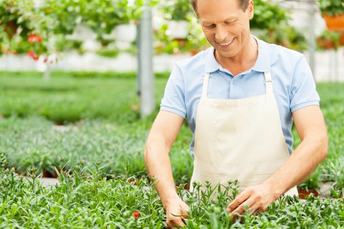 Gardener inspecting a garden path